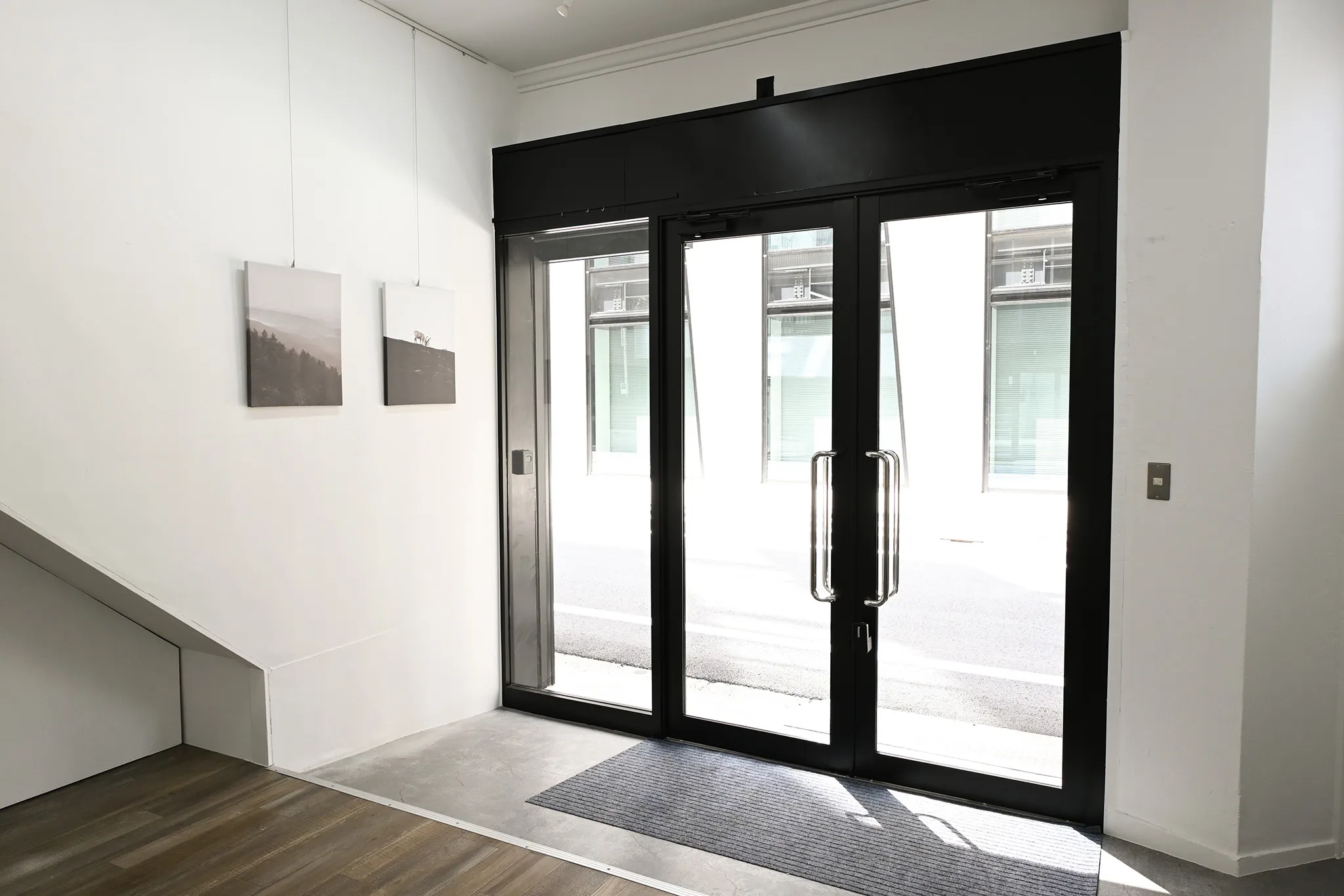 エントランスエリアにはピクチャーレールを設置しています。